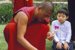 Gyuto Monk of Tibet, Sydney, NSW